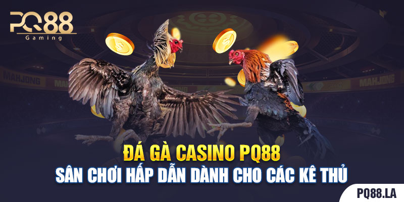 Đá gà casino PQ88 - Sân Chơi Hấp Dẫn Dành Cho Các Kê Thủ
