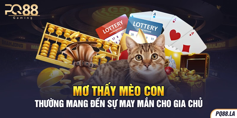 Mơ thấy mèo con thường mang đến sự may mắn cho gia chủ