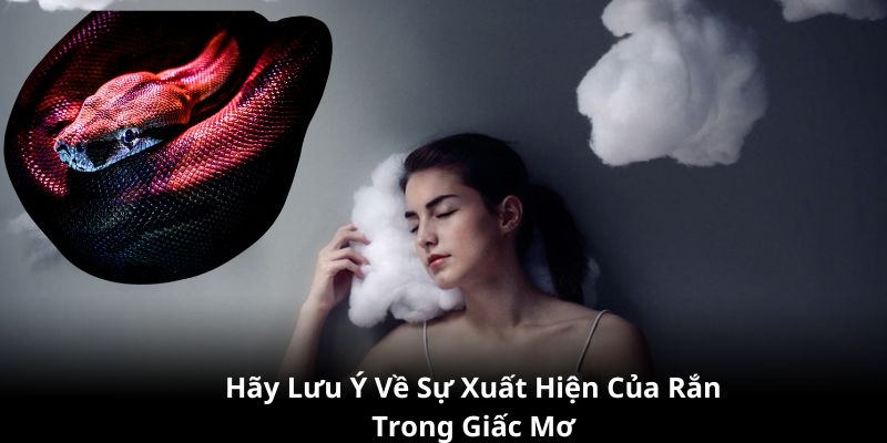 Lưu ý về sự xuất hiện của những con rắn trong giấc mộng